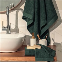 Набор махровых полотенец LoveLife "Natural eucalyptus" 3 шт: 70х130,50х80,30х50см хл100%