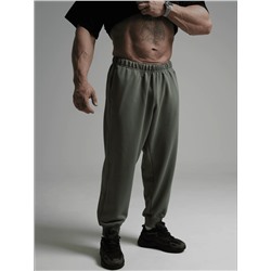 Брюки Леон оливковый Лт