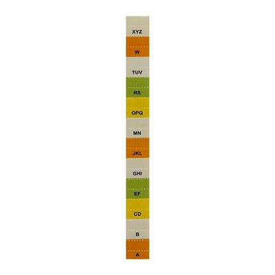 Папка для бумаги А4 пластиковая Calligrata, 12 отделений, бежевая