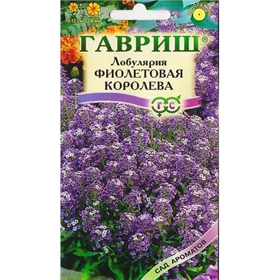 Семена Лобулярия Фиолетовая Королева, арт.: 4189