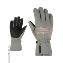 Skihandschuhe