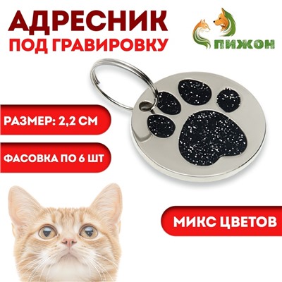Адресник под гравировку "Блестящая лапка", 2,2 см, фасовка по 6 шт, микс цветов