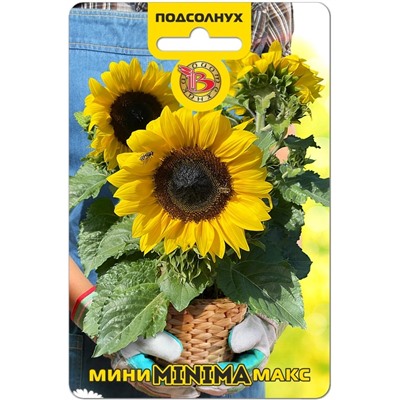 Подсолнух Мини-Макс F1 Минима
