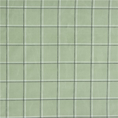 Постельное бельё Этель дуэт Green cage 150х215см-2 шт, 225х240см, 50х70±3 см-2 шт, новосатин