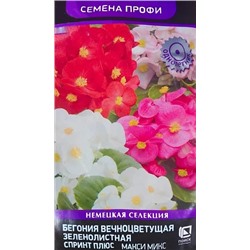Семена Бегония Макси Микс вечноцветущая зеленолистная, арт.: 7738