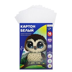 Картон белый А5, 16 листов, немелованный, плотность 200 г/м2, в папке