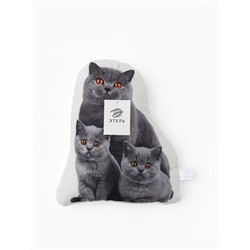 Подушка «Этель» Сat family 40×33 см, 100% п/э, велюр