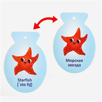 Карточки на кольце для изучения английского языка «Морские обитатели», 3+