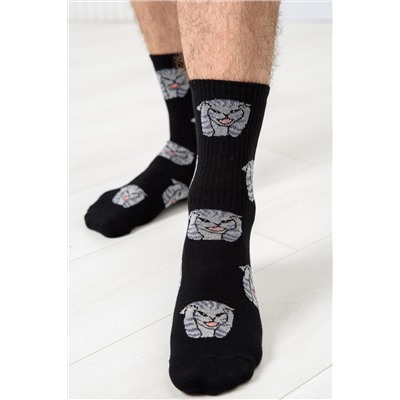 Носки мужские Драматик кот (набор 2 пары)