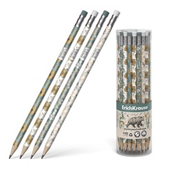 Карандаш ч/гр HB ErichKrause Natural Life трехгранный с ластиком 55261/42/Китай