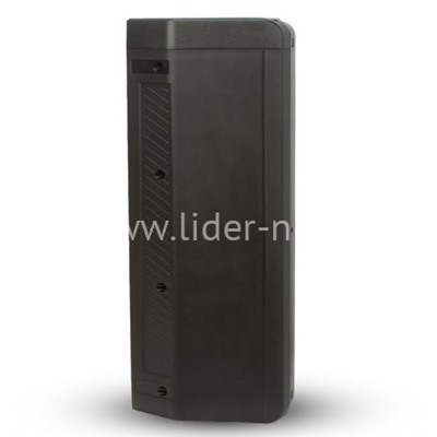 Колонка 06" (20-10 DANCE BOX 300) динамик 2шт/6.5" ELTRONIC с TWS