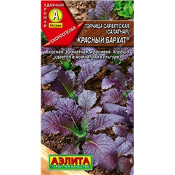 0355 Горчица салатная Красный бархат 0,5гр