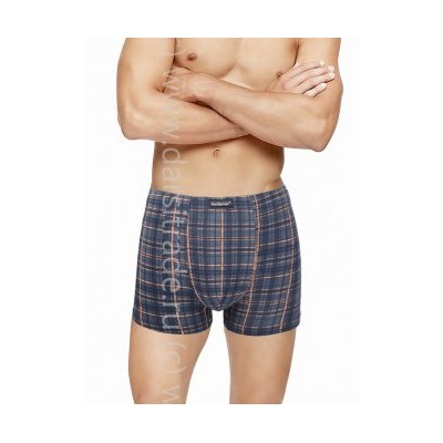 Трусы мужские GS8034 Gentlemen шорты