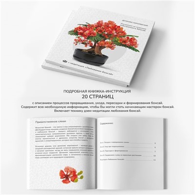 Набор д/создания бонсай "Сад Радости", "Делоникс королевский"