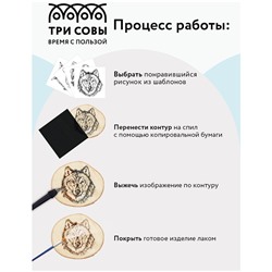 Набор для выжигания на спиле дерева ТРИ СОВЫ "Обитатели леса", диаметр 15см, картонная коробка