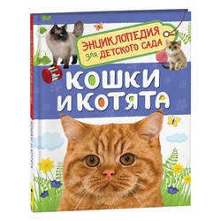 Энциклопедия для детского сада «Кошки и котята»