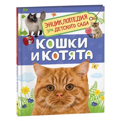 Энциклопедия для детского сада «Кошки и котята»