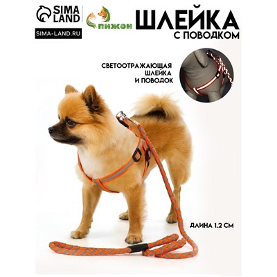 Комплект "Плетенка", флуоресцентный, поводок 115 х 1 см, ОГ 32-48 х 1,5 см, оранжевый