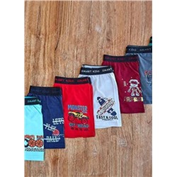 Трусы для мальчика Berrak