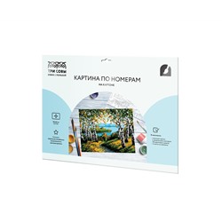 Картина по номерам на картоне ТРИ СОВЫ "Березовая роща", 30*40, с акриловыми красками и кистями