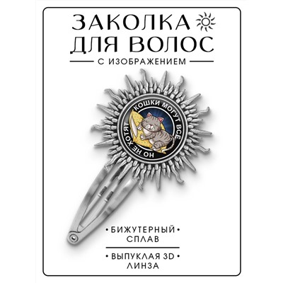 HZG-0115 Заколка Кошки могут всё