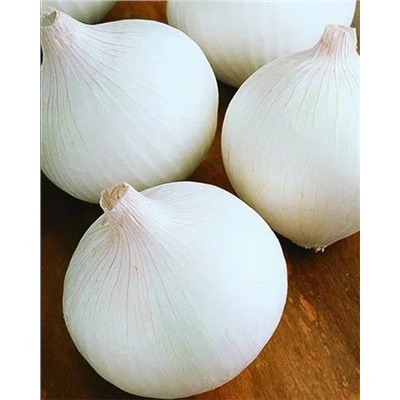 Лук-севок Сноуболл, арт.: 74581