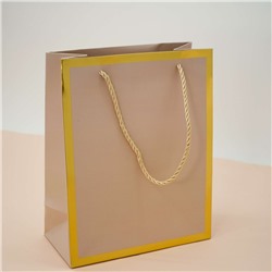Пакет подарочный (S) «Classic line», light pink (24.5*19.5*9.5)