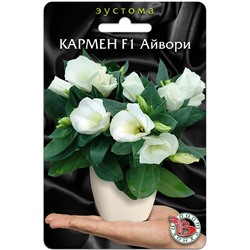 Эустома горшечная Кармен F1 Айвори