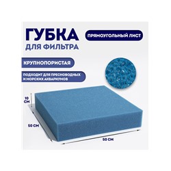 Губка прямоугольная, крупнопористая, лист 50×50×10 см, синий