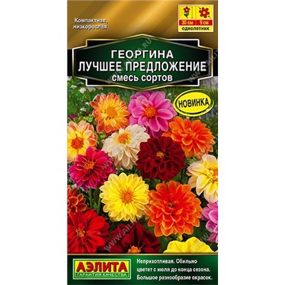Георгина Лучшее Предложение Золотая