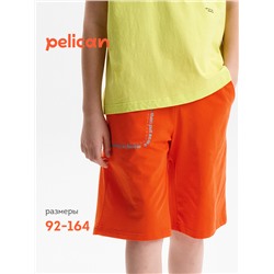 Шорты для мальчика