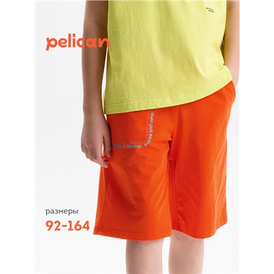 Шорты для мальчика