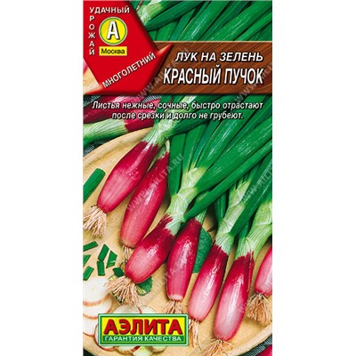0497 Лук на зелень Красный пучок 0,3гр