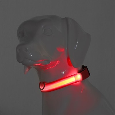 Ошейник с подсветкой размер XL, ОШ 52-60×2.5 см, 3 режима свечения красный