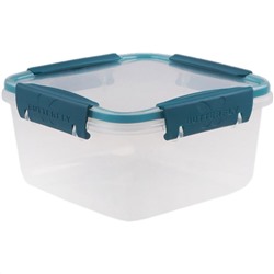 Контейнер герметичный 1,2 л BUTTERFLY BRIGHT 4378478 хвоя