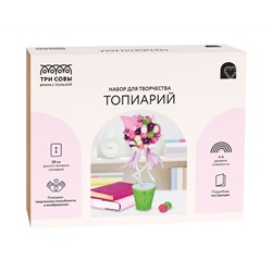 Набор для творчества ТРИ СОВЫ, топиарий "Цветущий домик", картонная коробка