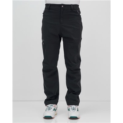 Брюки утепленный мужской зимние спортивные черного цвета 2211-1Ch