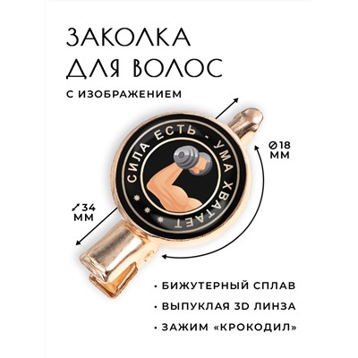 HZF-0073 Заколка Сила есть, ума хватает