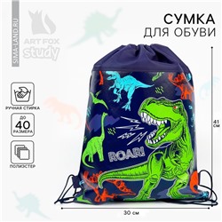 Мешок для обуви «Динозавр» полиэстер, размер 41×30 см