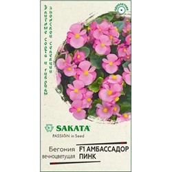 Семена Бегония Амбассадор Пинк F1, арт.: 11776