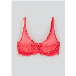 DD+ High Apex Lace Bra