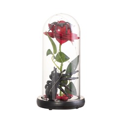 Фигурка светящаяся колба RISALUX «Паук с розой», LED-ночник, 1.5 Вт, 3×AAA, чёрный, USB, 11×11×21 см