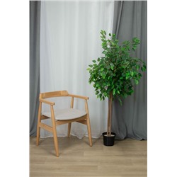 Стул SHT-S204
                        светлый беж / прозрачный лак