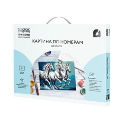 Картина по номерам на холсте ТРИ СОВЫ "Белая тройка", 40*50, с акриловыми красками и кистями