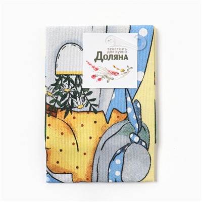 Полотенце кухонное Доляна «Зайка» 28×46 см, рогожка, 100% хлопок, 160 г/м²