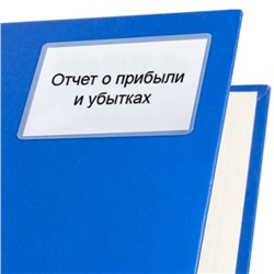 Карман самоклеящийся 65×98 мм, комплект 10 штук, для визитных карточек Calligrata, 110 мкм