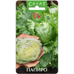 Салат кочанный Папиро