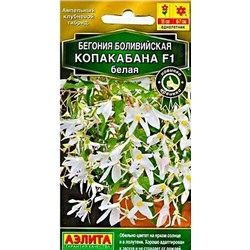 Семена Бегония Копакабана белая F1, арт.: 12227
