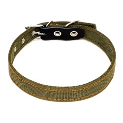 Ошейник брезентовый двухслойный, 54×2.5 см, ОШ 35-45 см, хаки