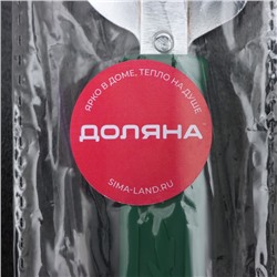 Открывашка-штопор Доляна «Польза», 14.5 см, МИКС